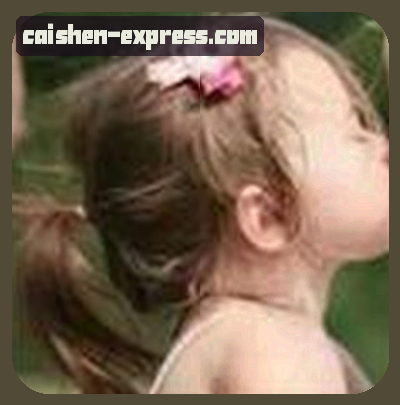 赵凯